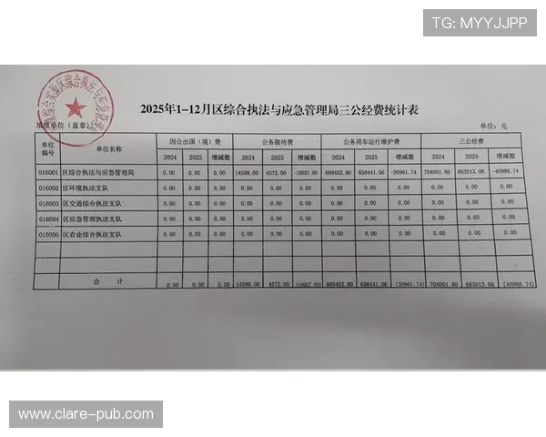 三公经费是哪三公的定义、组成及其在不同国家政府财务中的异同分析