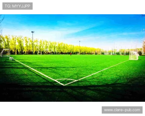 南宫体育体育赛事预测:专业分析与赛前数据解读帮助用户决策 南宫体育体育赛事预测:专业分析与赛前数据解读帮助用户决策